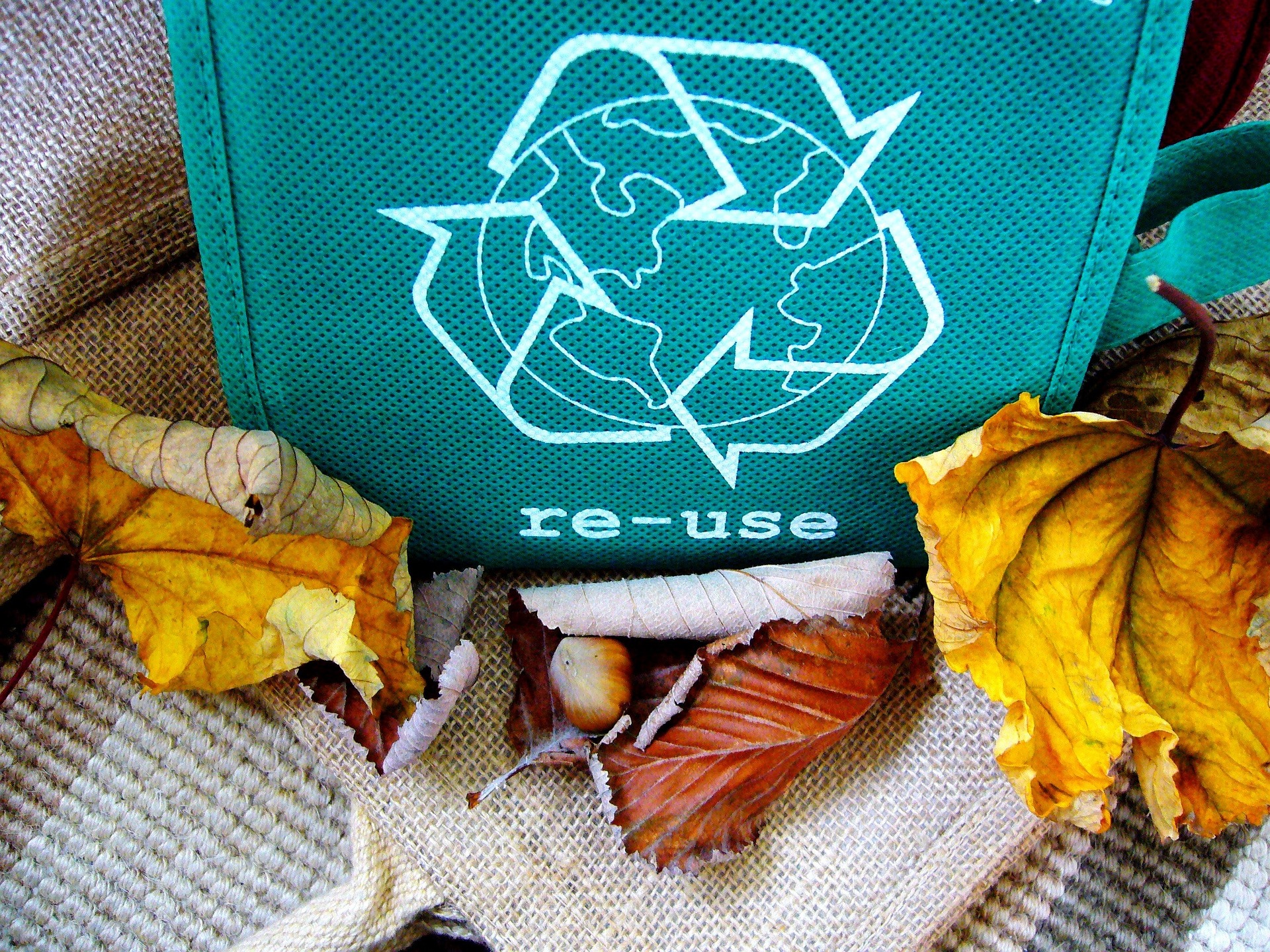 Recycle a bag